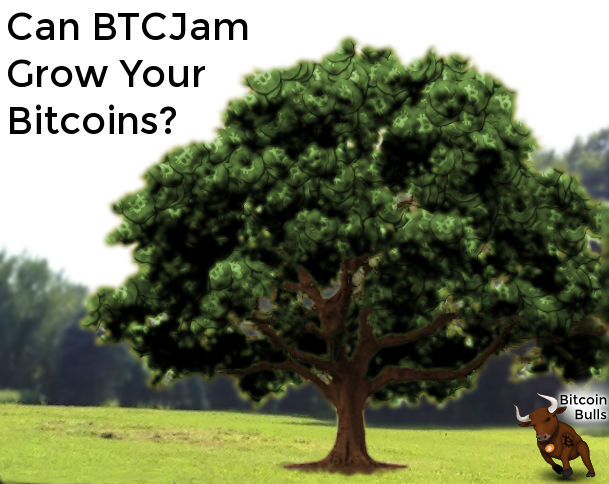 Growing Bitcoins